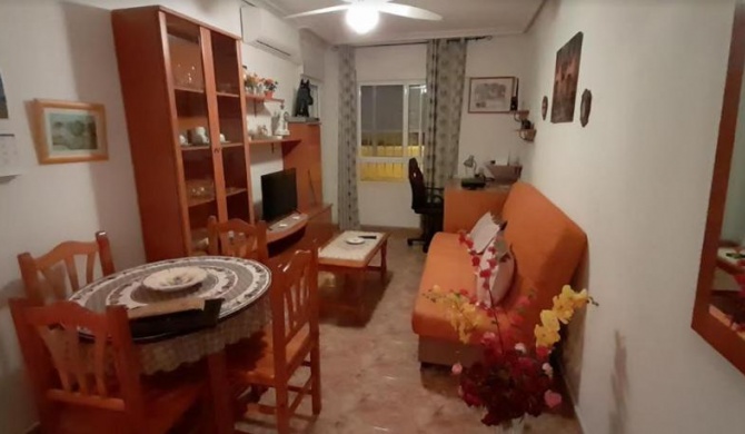 Apartamentos La Paz VIII