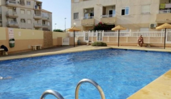 2 bedrooms appartement with shared pool terrace and wifi at Torrevieja 1 km away from the beach