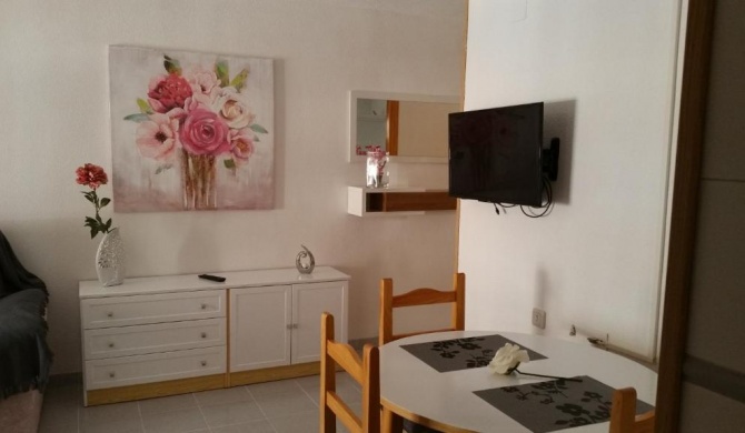 Homely appartment playa Acequion