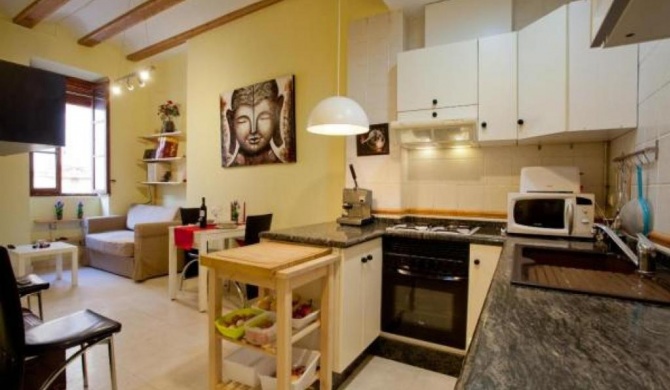 Apartament in historic center