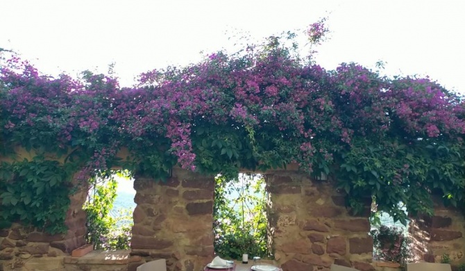 El Jardín Vertical