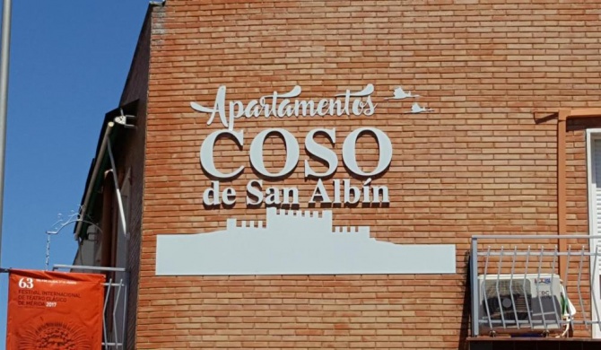 Apartamentos Coso de San Albin