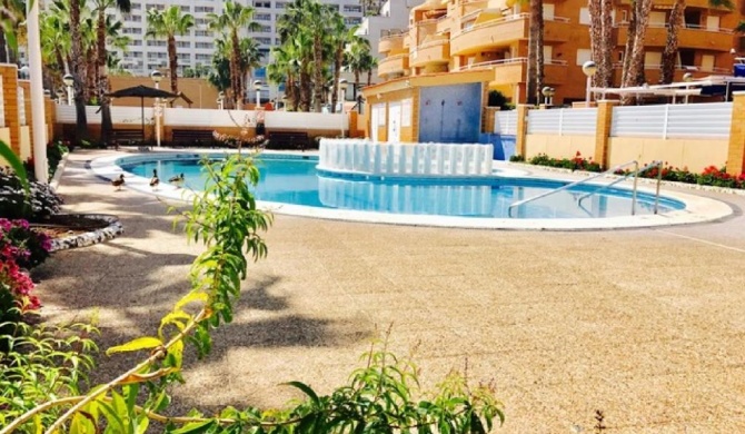 Apartamentos Boutique Playa