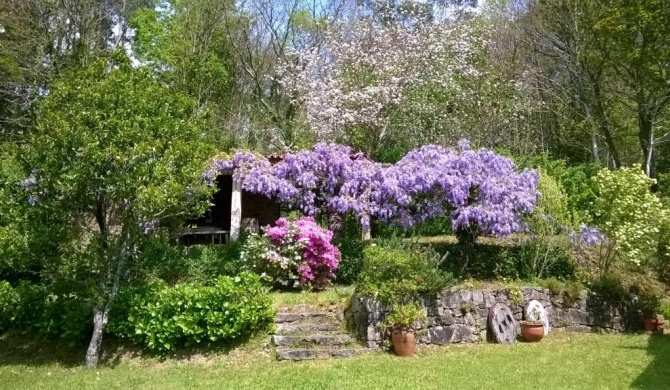 O Lughar Darriba Fogar Natural