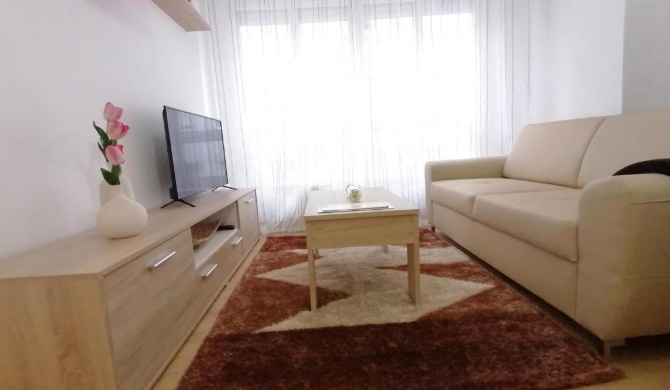 APARTAMENTO BOLBORETA