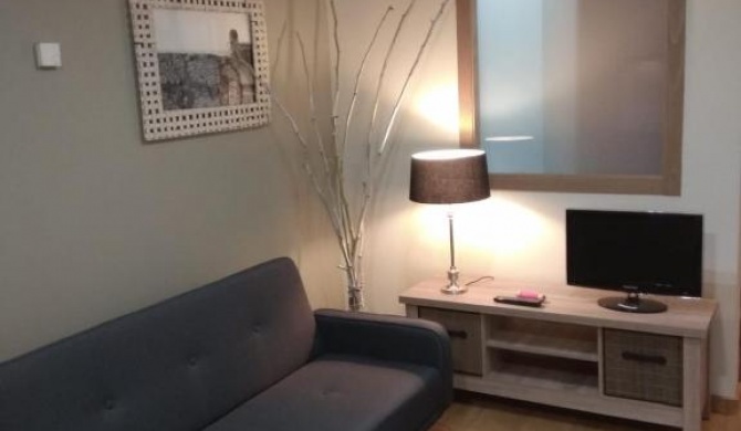 Coqueto apartamento centro VIGO con WIFI